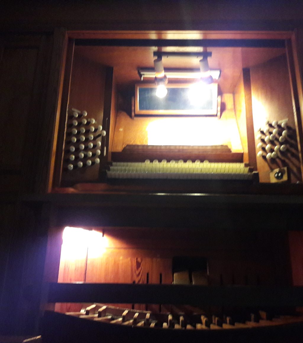 organatnight